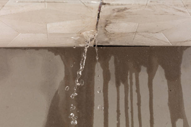 Professional Flood Damage Cleanup technician working in Payne, OH